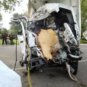 El vehículo chocó contra un árbol. 