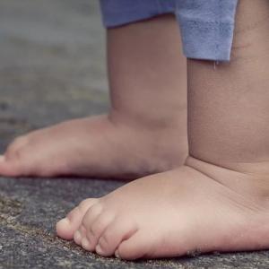 Imagen de referencia. 