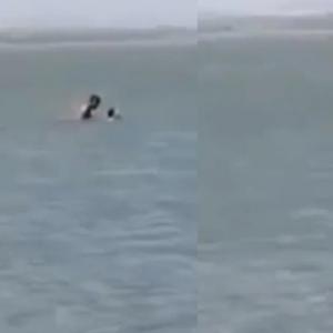 La pareja no se enteró de que los grababan y siguieron su faena por varios minutos. 