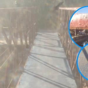 El puente peatonal es usado diariamente por decenas de personas.