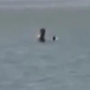 El video se hizo viral en redes durante el fin de semana.