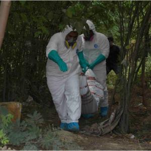 Agentes realizando el levantamiento de un cuerpo. 