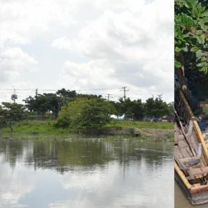 Imágenes del lugar y el cadáver. 