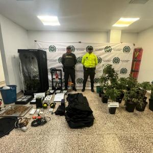 Plantas y objetos incautados.