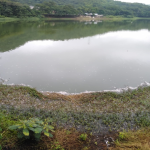 Lugar de los hechos. 