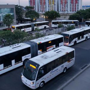 Parque automotor de Transmetro. 