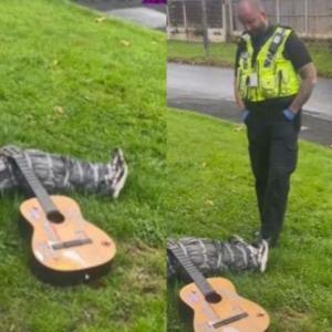 La patrulla de oficiales que iba pasando por el lugar se percató del supuesto cadáver tirado en el suelo del jardín, pero lo vieron tan real que tuvieron que frenar y comprobar lo que habían visto.