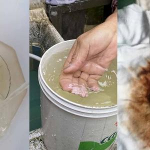 Aspecto de los diferentes reportes conocidos por AL DÍA a través de wasapea. 