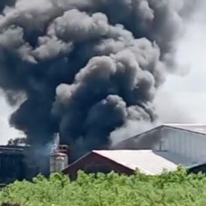 El hecho fue reportado por la línea wasapea a AL DÍA durante este lunes. 