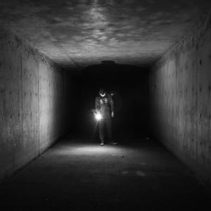 Imagen de referencia