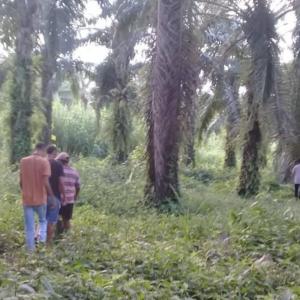 Finca El Tamarindo, donde fue encontrado el cadáver.  