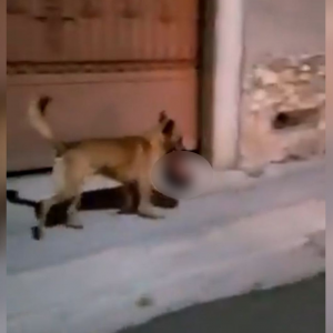 Imágenes del video.