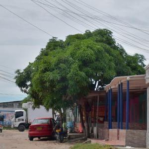 Lugar de los hechos. 