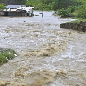 Lugar de los hechos. 