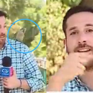 Imágenes del video.