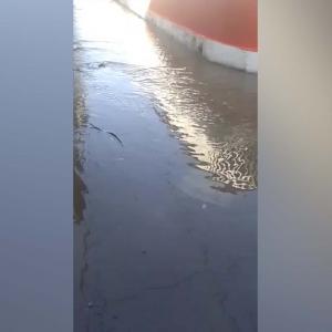 Aspecto de la inundación en una de las calles del barrio