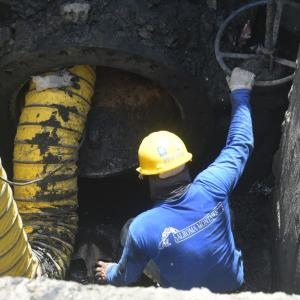 Imagen de referencia