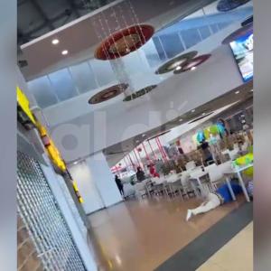 el operativo se dio como resultado en medio de una persecución. 