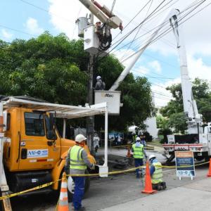 Imagen de referencia. 