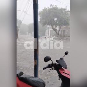 El hecho quedó registrado en video