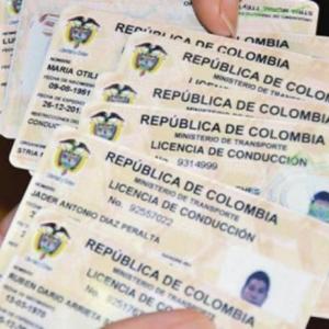 Imagen de referencia de una licencia de conducción