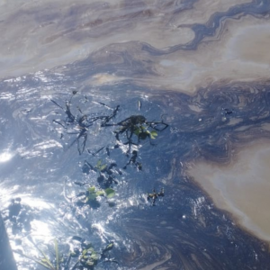 Lugar de los hechos. 