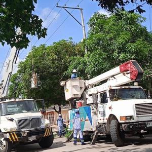 Imagen de referencia