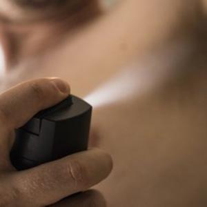 Imagen de referencia. 