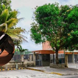 Medicina legal / referencia arma