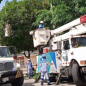 Imagen de referencia. 