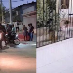 Lugar de los hechos / videos