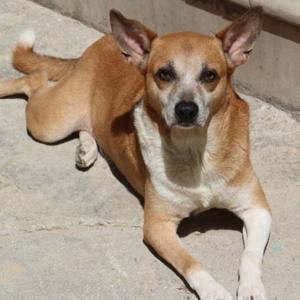 Imagen de referencia.