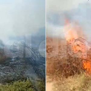 Las llamas consumen buena parte de la flora