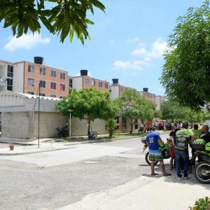 Imagen de referencia de Las gardenias.