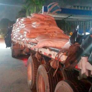 El hecho tuvo lugar en las primeras horas de este sábado.