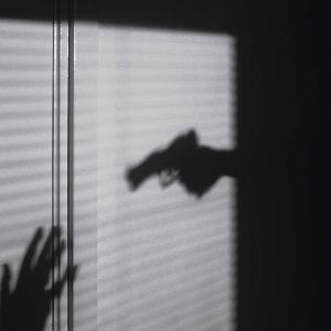 Imagen de referencia