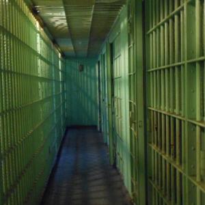 Imagen de referencia.