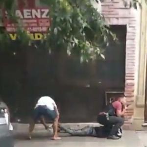 El curioso momento quedó registrado en video. 