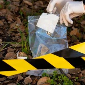 Imagen de referencia.