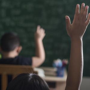 Imagen de referencia.