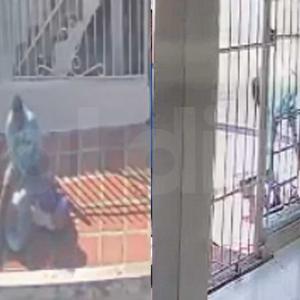 El hecho quedó registrado en videos de cámaras de seguridad