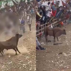 El hecho quedó registrado en video