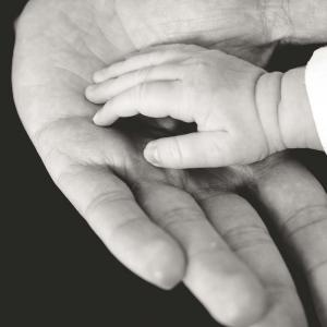 Imagen de referencia