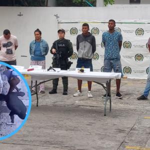 Capturados con agentes. 