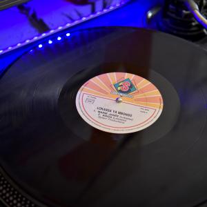 Aspecto de un disco. 