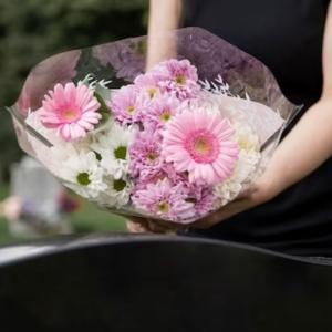 Imagen de referencia.