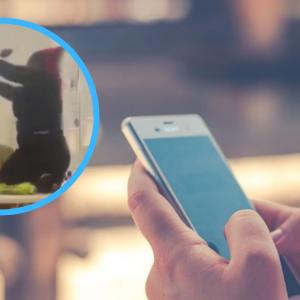 Imágenes del video / referencia celular.