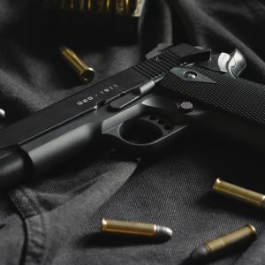 Imagen de referencia