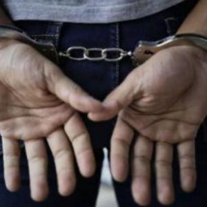 Imagen de referencia.