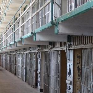 Imagen de referencia.